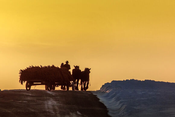 New Amish Cook art for web